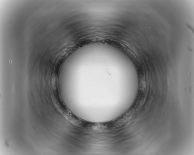 X0000094450468200711081051