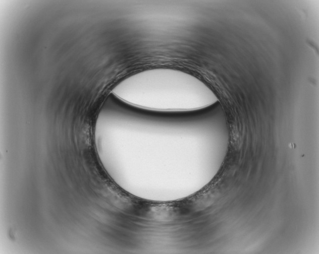 X0000094450470200711081051