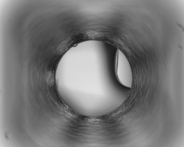 X0000094450471200711081051