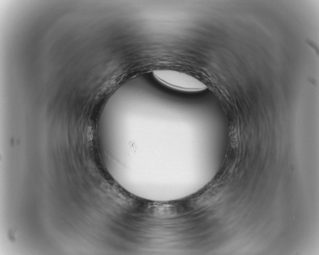 X0000094450472200711081051