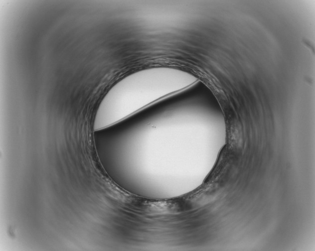 X0000094450473200711081051