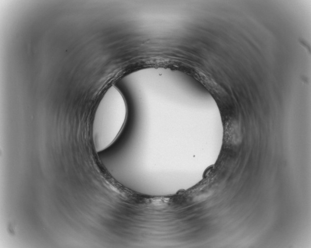 X0000094450474200711081051