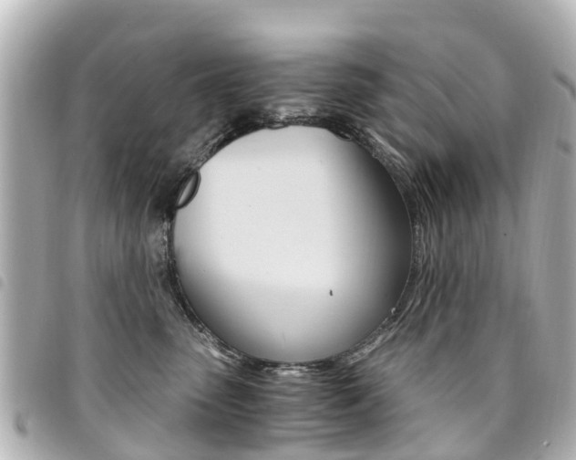 X0000094450475200711081051