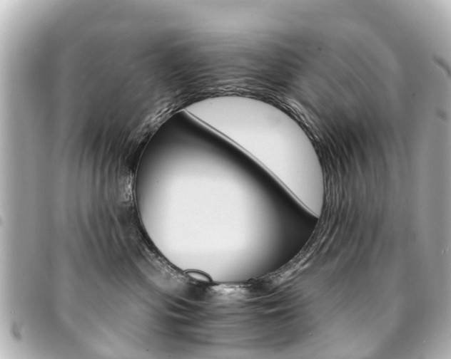 X0000094450477200711081051