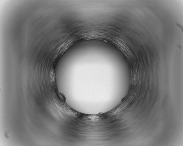 X0000094450478200711081051