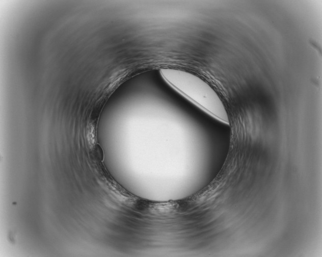 X0000094450479200711081051
