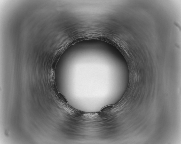 X0000094450480200711081051
