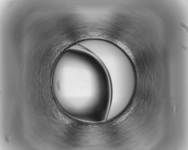 X0000094450481200711081051