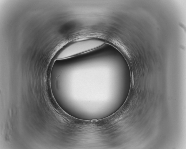 X0000094450483200711081051