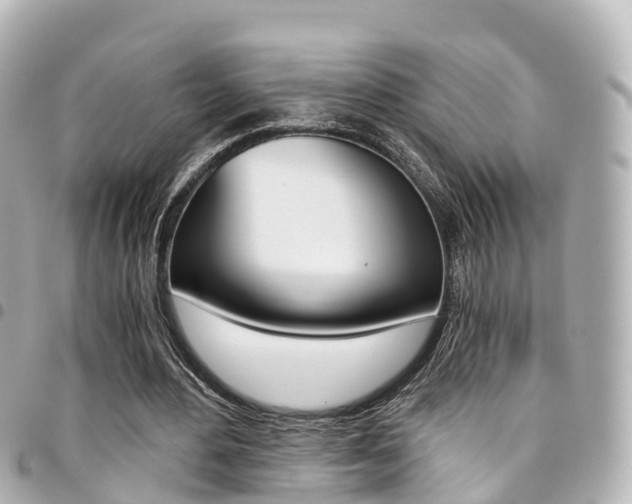 X0000094450484200711081051