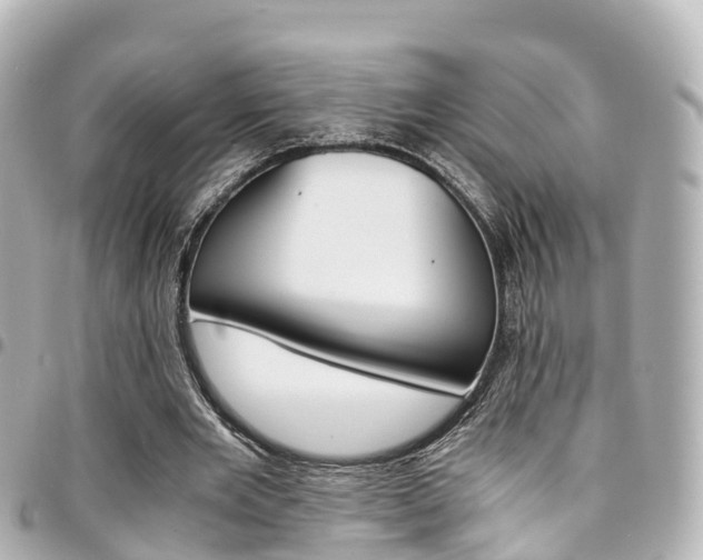 X0000094450485200711081051