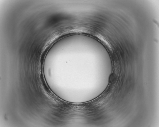 X0000094450486200711081051