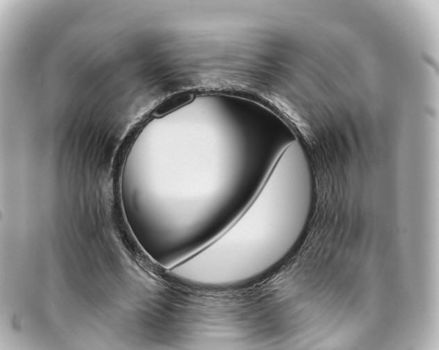 X0000094450488200711081051