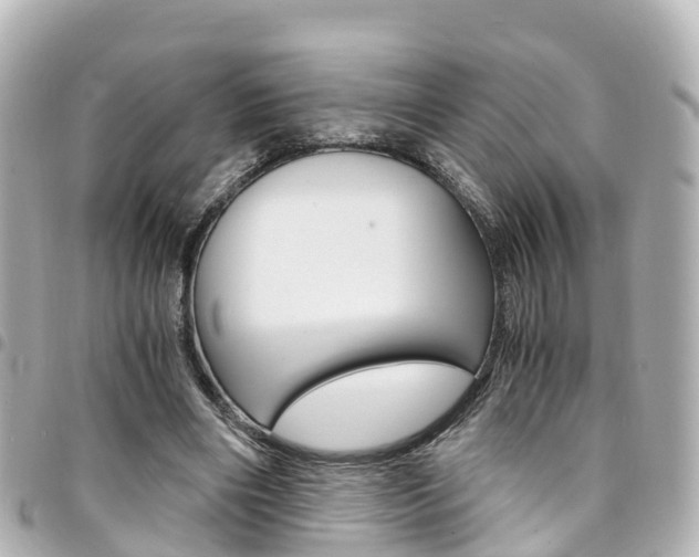 X0000094450490200711081051