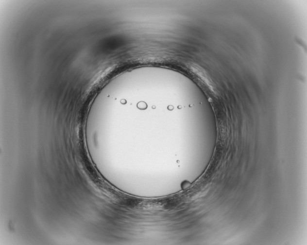 X0000094450491200711081051