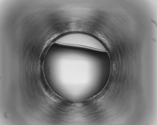 X0000094450492200711081051