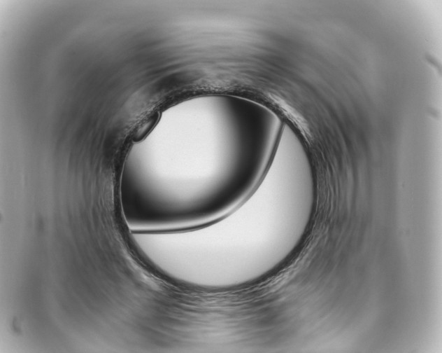 X0000094450493200711081051