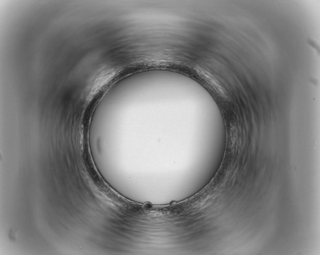 X0000094450494200711081051