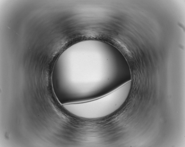 X0000094450496200711081051