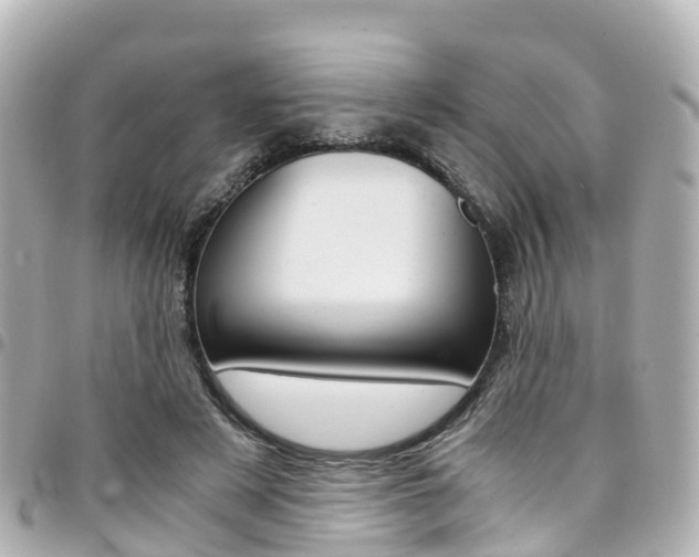 X0000094450497200711081051