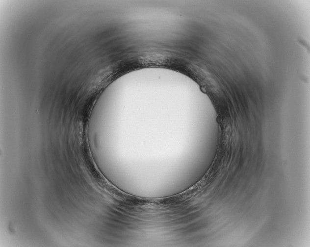 X0000094450498200711081051