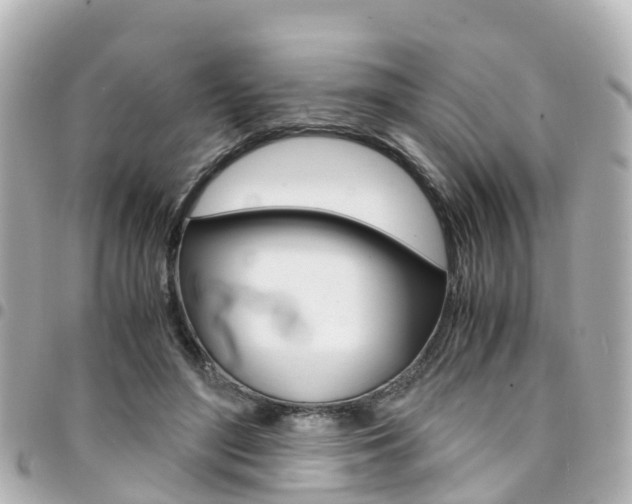 X0000094450500200711081051