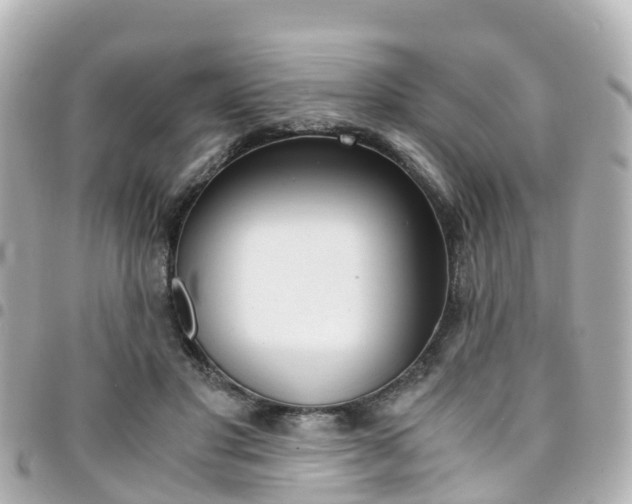 X0000094450501200711081050