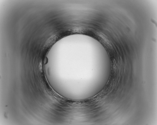 X0000094450502200711081050