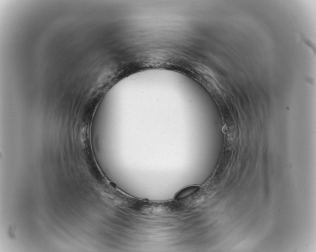 X0000094450503200711081050
