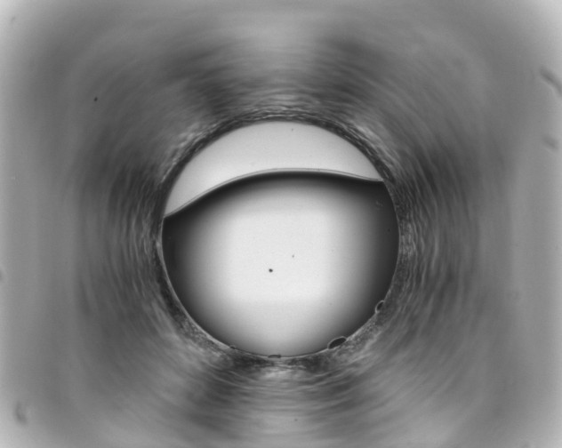 X0000094450504200711081050