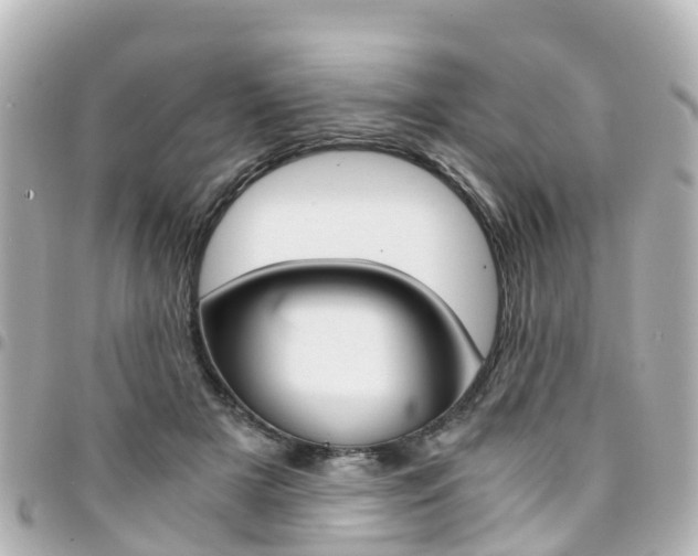 X0000094450505200711081050