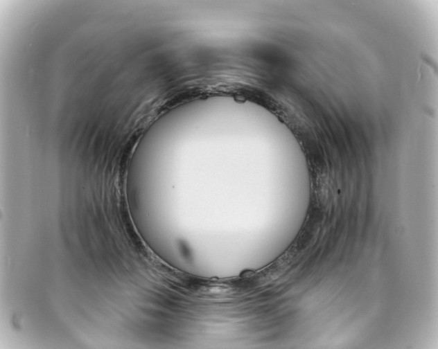 X0000094450506200711081050