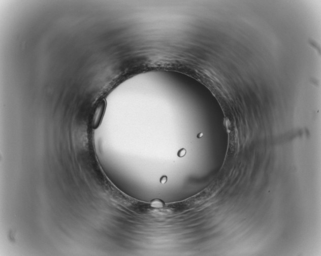 X0000094450508200711081050