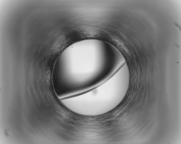 X0000094450509200711081050