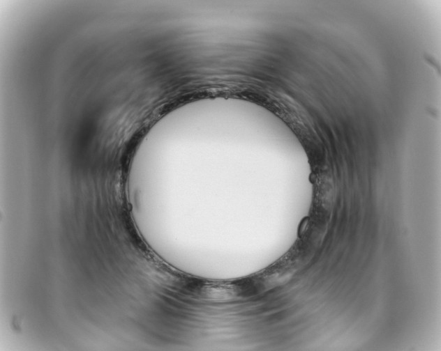 X0000094450510200711081050