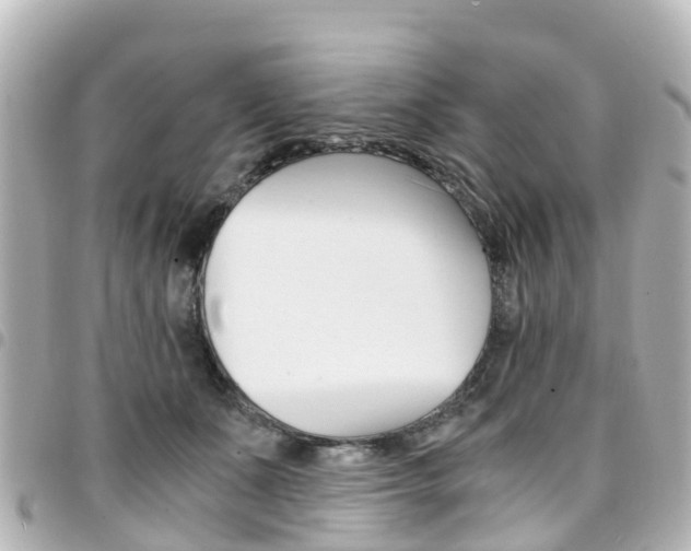 X0000094450511200711081050