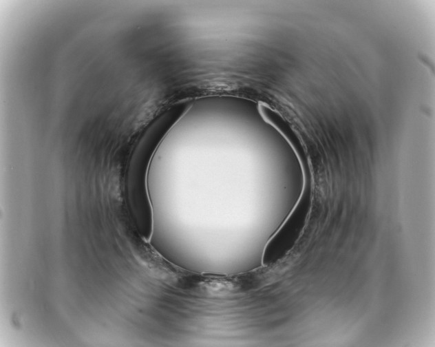 X0000094450512200711081050