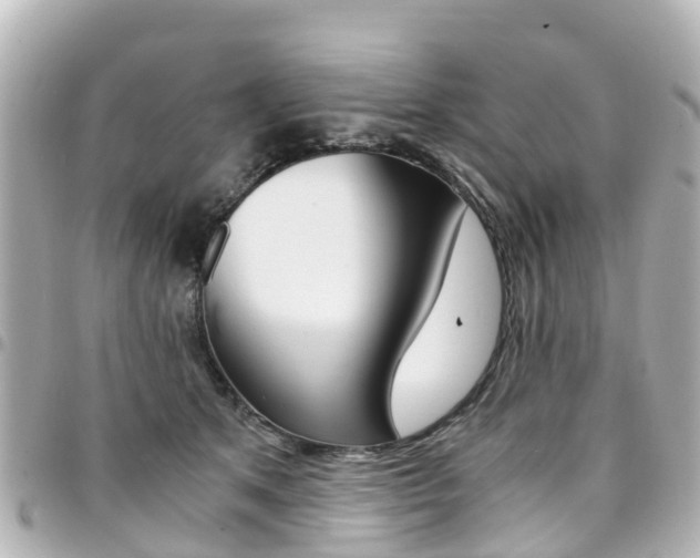 X0000094450513200711081050