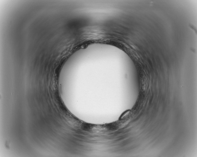 X0000094450515200711081050