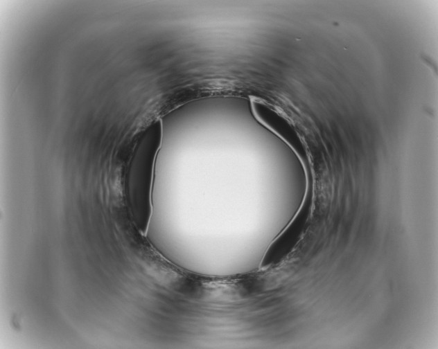 X0000094450516200711081050