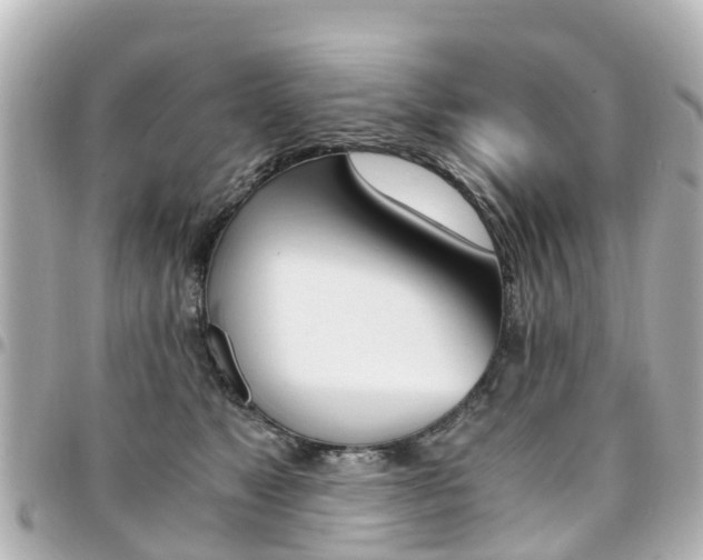 X0000094450517200711081050