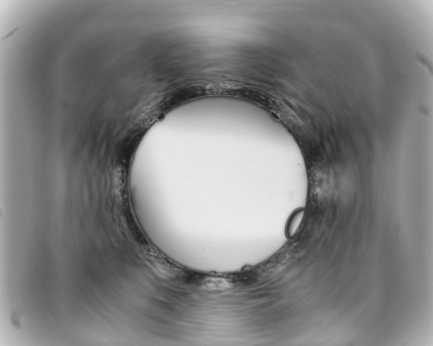 X0000094450519200711081050