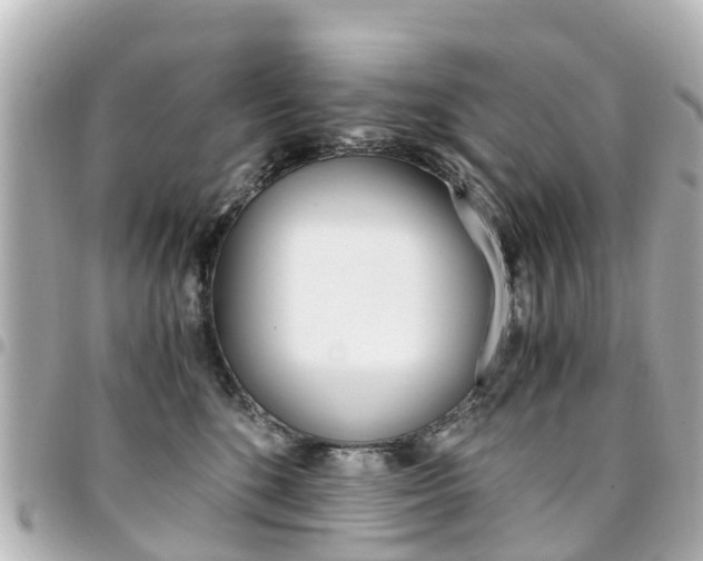 X0000094450520200711081050
