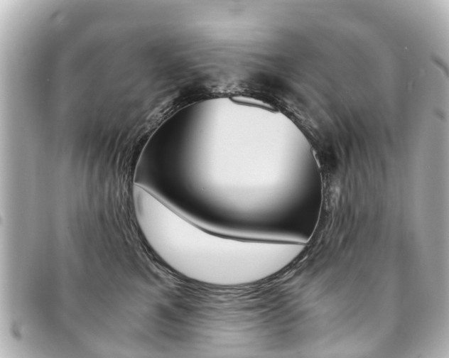 X0000094450521200711081050