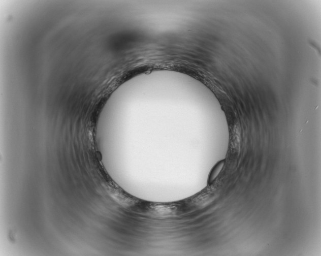 X0000094450522200711081050