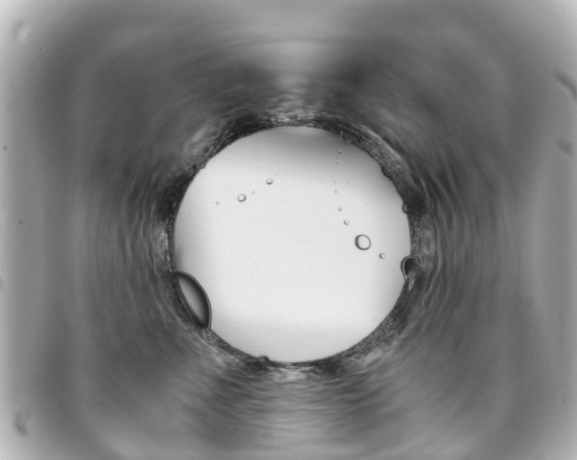 X0000094450523200711081050