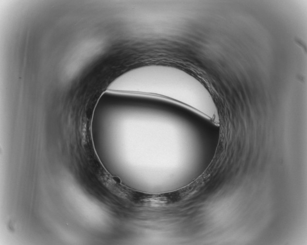 X0000094450525200711081050