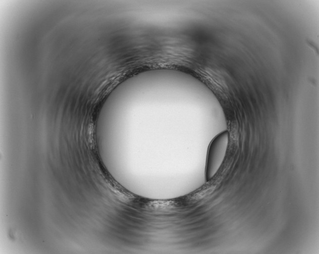 X0000094450526200711081050