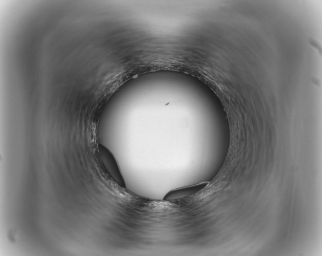X0000094450528200711081050