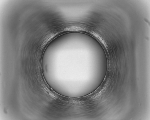 X0000094450529200711081049